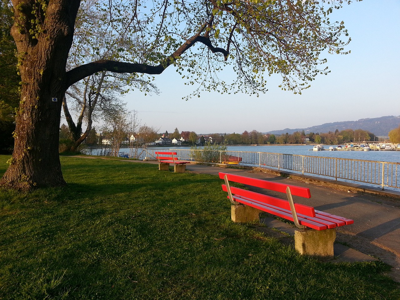 西尔韦斯特：我在曼城快完成体检了，但最后被说服加盟枪手