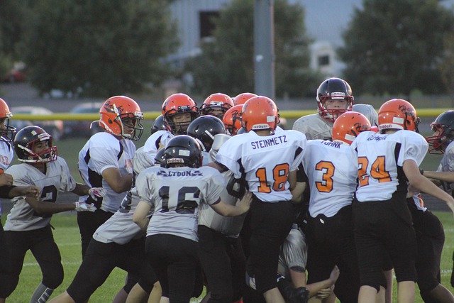 冠軍的希望 冠軍的希望