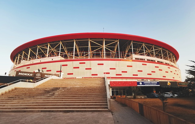 不少球迷表 不少球迷表