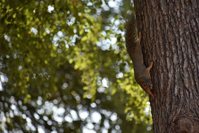 微弱优势赢 微弱优势赢