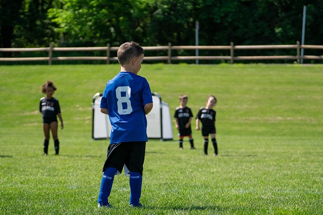 会依靠精湛 会依靠精湛