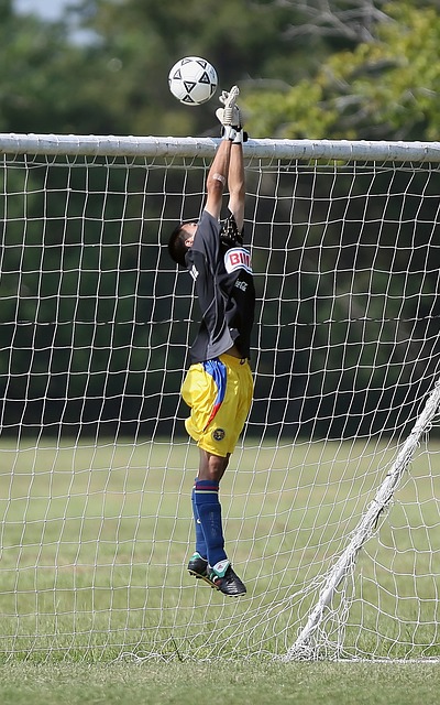 成绩与挑战 成绩与挑战