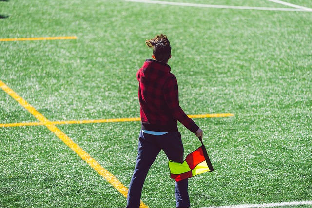 的主要课题 的主要课题