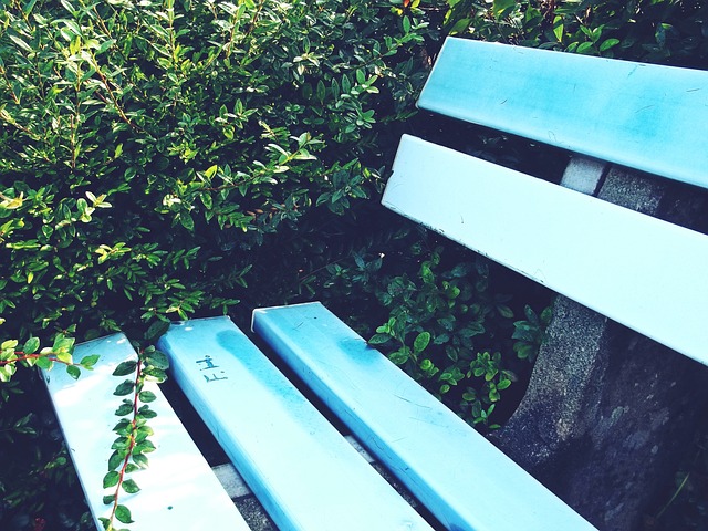 但国际米兰 但国际米兰