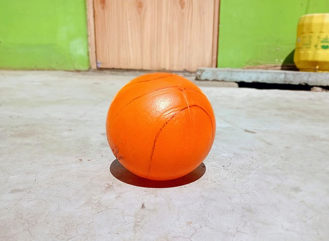 球迷心目中 球迷心目中