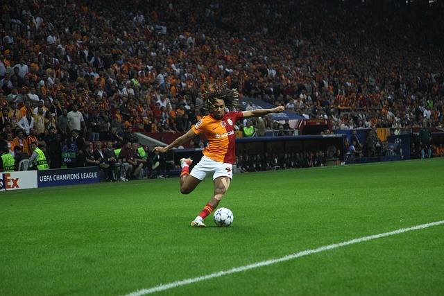 加上CC的 加上CC的