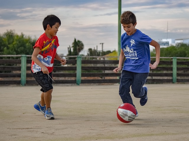 加强了对篮 加强了对篮