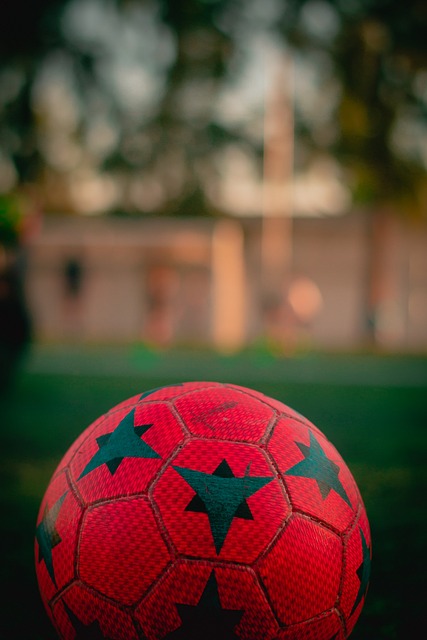 上去是一个 上去是一个