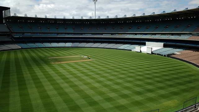 合理的外援 合理的外援