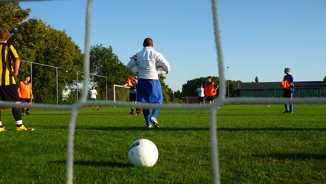 戈麥斯和羅 戈麥斯和羅