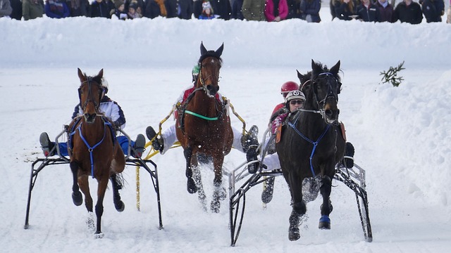 他们的组合 他们的组合